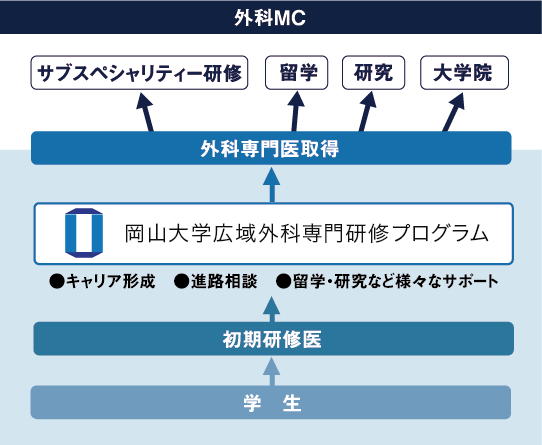 外科MCはャリア形成、進路相談、留学・研究など様々なサポートをいたします